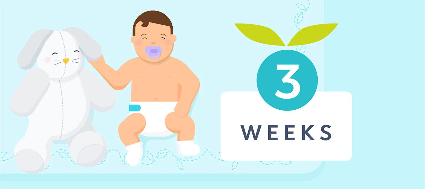 3 week sleep | Huckleberry