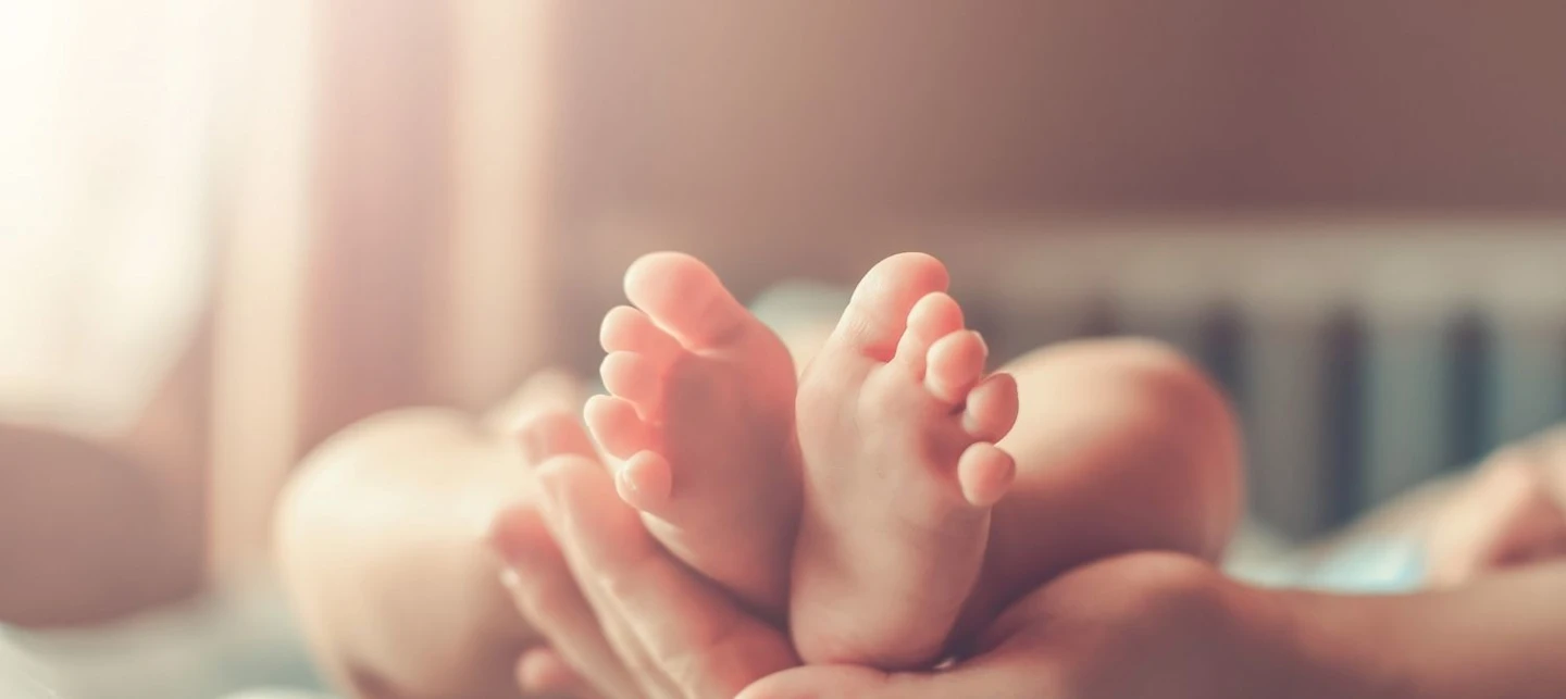 Adult hands holding baby feet in crib | Huckleberry
