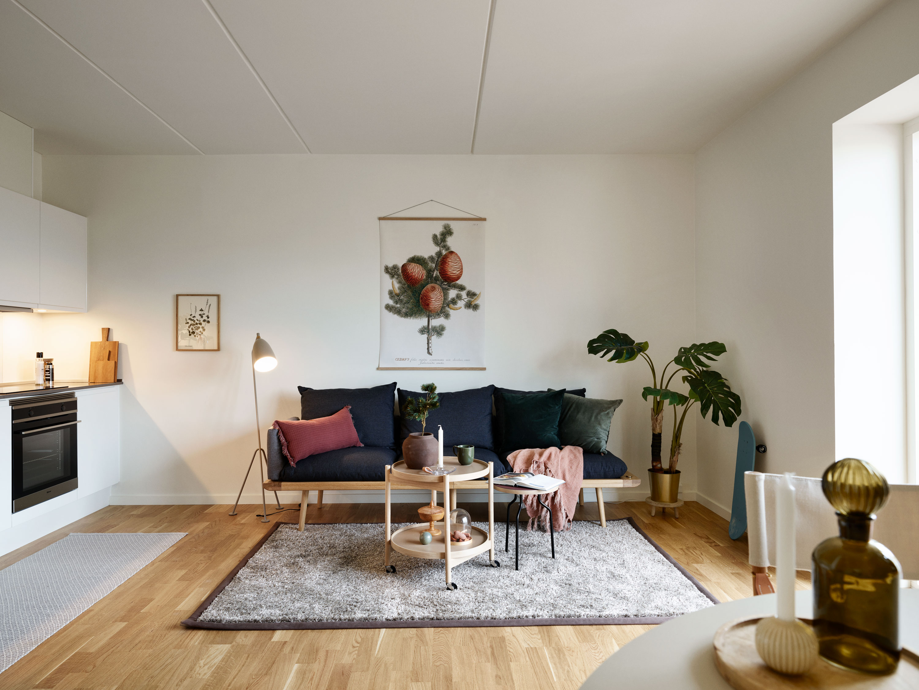 Rønnebygade 20, 5. th. 2630, Taastrup billede 4