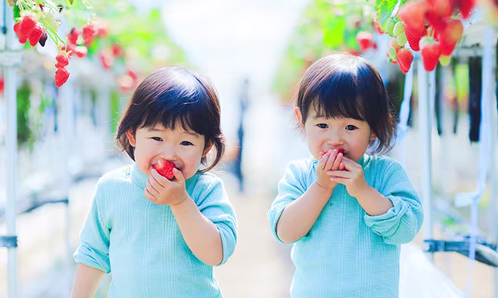 双子が生まれる確率は？