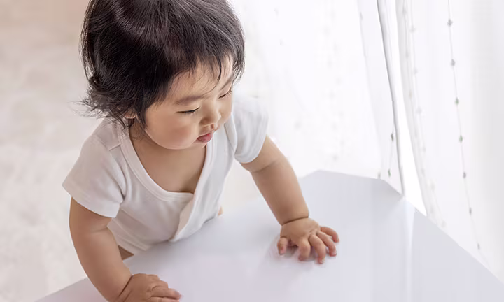 つかまり 立ち いつ