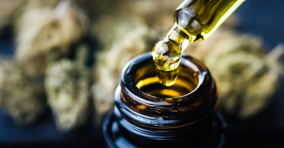 Close up of droplet of Cannabis oil being poured into a small brown bottle against hemp buds