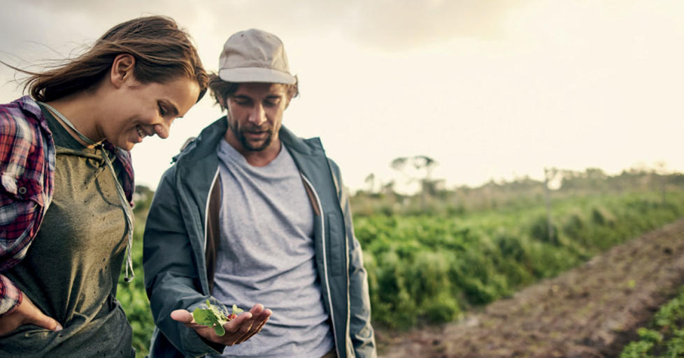 A man and a woman look at a food crop in a field