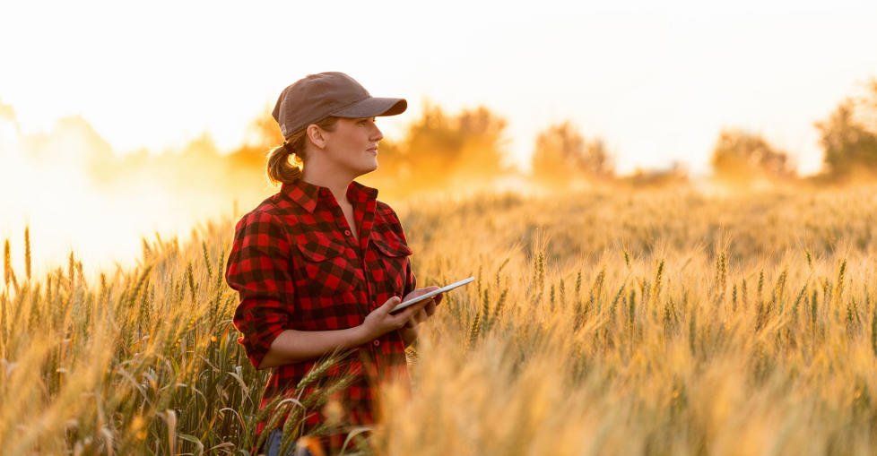 Woman reviews crops with tablet in field