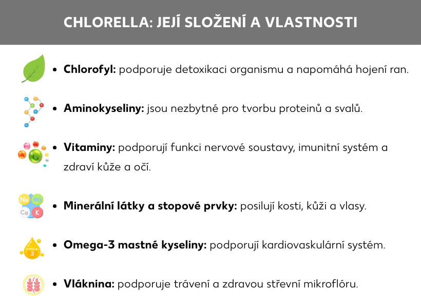 Informační grafika: Chlorella: obsažené látky a jejich vlastnosti, Seznam: Chlorofyl: Podporuje detoxikaci organismu a napomáhá hojení ran. Aminokyseliny: Jsou nezbytné pro tvorbu bílkovin a svalů. Vitamíny: Podporují správnou funkci nervů, imunitní systém a zdraví pokožky a očí. Minerály a stopové prvky: Posilují kosti, pokožku i vlasy. Omega-3 mastné kyseliny: Podporují kardiovaskulární systém. Vláknina: Napomáhá trávení a přispívá ke zdravé střevní mikroflóře.