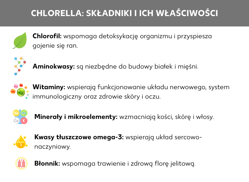 Infografika: Chlorella: Składniki i ich właściwości, lista: Chlorofil: wspomaga detoksykację organizmu i przyśpiesza gojenie ran. Aminokwasy: stanowią podstawę do budowy białek i mięśni. Witaminy: wspomagają funkcjonowanie układu nerwowego i odpornościowego oraz zdrowie skóry i oczu. Składniki mineralne i pierwiastki śladowe: wzmacniają kości, skórę i włosy. Kwasy tłuszczowe Omega 3: wspomagają działanie układu krążenia. Błonnik: wspomaga trawienie i wpływa na tworzenie zdrowej flory jelitowej.