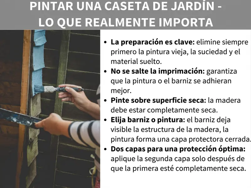 Infografía: pintar una caseta de madera: claves importantes. La lista incluye cinco puntos: 1. La preparación es fundamental: eliminar siempre primero la pintura vieja, la suciedad y el material suelto. 2. No saltarse la imprimación: garantiza que la pintura o el lasur se adhieran mejor. 3. Pintar sobre una superficie seca: la madera debe estar completamente seca. 4. Elegir lasur o esmalte: el lasur deja visible la veta de la madera; el esmalte forma una capa protectora cerrada. 5. Dos manos para una protección óptima: aplicar la segunda mano solo cuando la primera esté completamente seca. A la izquierda se ve una foto de una persona pintando madera oscura con una brocha.