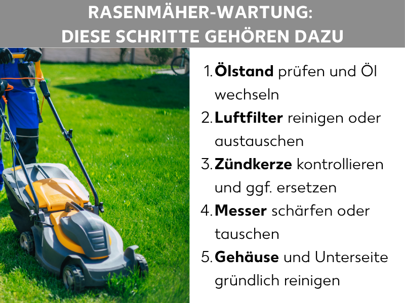Infografik: Rasenmäher-Wartung: Diese Schritte gehören dazu. Links ist ein Mann zu sehen, der einen gelb-grauen Rasenmäher über einen grünen Rasen schiebt. Rechts daneben eine nummerierte Liste mit fünf Punkten: 1. Ölstand prüfen und Öl wechseln. 2. Luftfilter reinigen oder austauschen. 3. Zündkerze kontrollieren und ggf. ersetzen. 4. Messer schärfen oder tauschen. 5. Gehäuse und Unterseite gründlich reinigen.