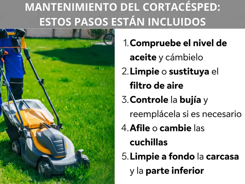 Infografía: mantenimiento del cortacésped: estos son los pasos. A la izquierda se ve a un hombre empujando un cortacésped amarillo y gris sobre un césped verde. A la derecha, una lista numerada con cinco puntos: 1. Comprobar el nivel de aceite y cambiar el aceite. 2. Limpiar o sustituir el filtro de aire. 3. Revisar la bujía y sustituirla si es necesario. 4. Afilar o cambiar la cuchilla. 5. Limpiar a fondo la carcasa y la parte inferior.