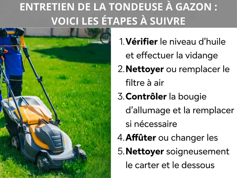 Infographie : entretien d'une tondeuse à gazon – les étapes essentielles. À gauche, un homme pousse une tondeuse jaune et grise sur une pelouse verte. À droite, une liste numérotée de cinq points : 1. Vérifier le niveau d'huile et faire la vidange. 2. Nettoyer ou remplacer le filtre à air. 3. Contrôler la bougie d'allumage et la remplacer si nécessaire. 4. Affûter ou changer la lame. 5. Nettoyer le carter et le dessous de la tondeuse.