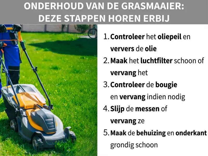 Infographic: Grasmaaieronderhoud: deze stappen horen erbij. Links is een man te zien die een geelgrijze grasmaaier over een groen gazon duwt. Rechts daarnaast een genummerde lijst met vijf punten: 1. Olieniveau controleren en olie verversen. 2. Luchtfilter reinigen of vervangen. 3. Bougie controleren en eventueel vervangen. 4. Messen slijpen of vervangen. 5. Behuizing en onderkant grondig reinigen.