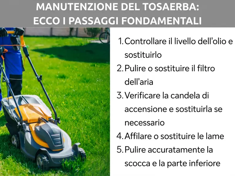 Infografica: Manutenzione del tagliaerba – ecco i passaggi fondamentali. A sinistra si vede una persona che spinge un tagliaerba giallo-grigio su un prato verde. A destra, un elenco numerato con cinque punti: 1. Controllare il livello dell'olio e sostituirlo. 2. Pulire o sostituire il filtro dell'aria. 3. Verificare la candela di accensione e, se necessario, cambiarla. 4. Affilare o sostituire la lama. 5. Pulire a fondo la scocca e la parte inferiore.