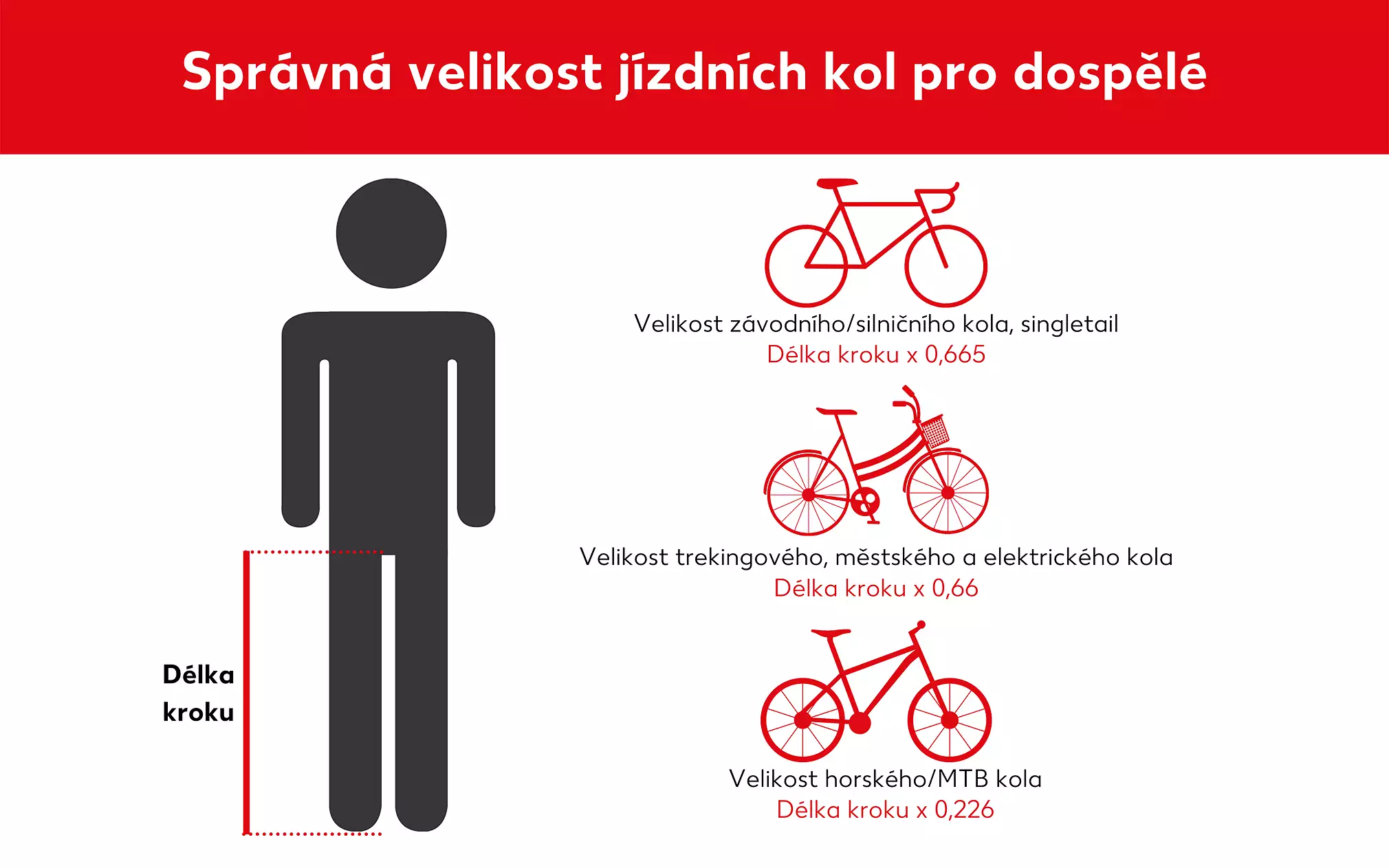 Správné určení velikosti kola pro dospělého