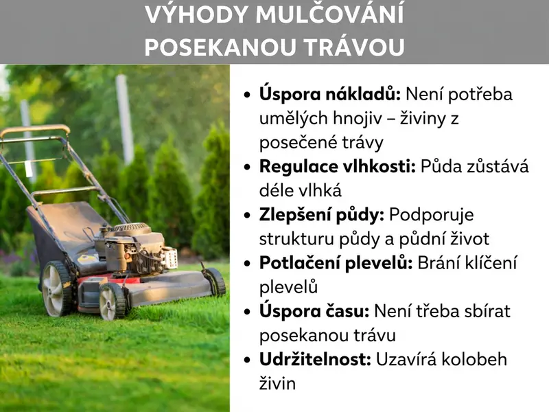 Infografika: Výhody mulčování trávou – šest výhod: 1. Úspora nákladů: Není třeba kupovat umělé hnojivo – živiny dodá posečená tráva. 2. Regulace vlhkosti: Půda zůstává déle vlhká. 3. Zlepšení půdy: Podporuje strukturu půdy a půdní organismy. 4. Potlačení plevele: Omezuje klíčení plevelů. 5. Úspora času: Odpadá shrabování posečené trávy. 6. Udržitelnost: Uzavírá koloběh živin.