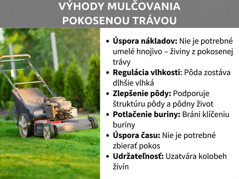 Infografika: Výhody mulčovania trávy pokosenými zvyškami – šesť výhod: 1. Úspora nákladov: nie je potrebné umelé hnojivo – živiny pochádzajú z pokosenej trávy. 2. Regulácia vlhkosti: pôda zostáva dlhšie vlhká. 3. Zlepšenie pôdy: podporuje štruktúru pôdy a pôdny život. 4. Potláčanie buriny: bráni klíčeniu buriny. 5. Úspora času: pokosená tráva sa nemusí zbierať. 6. Udržateľnosť: uzatvára kolobeh živín.
