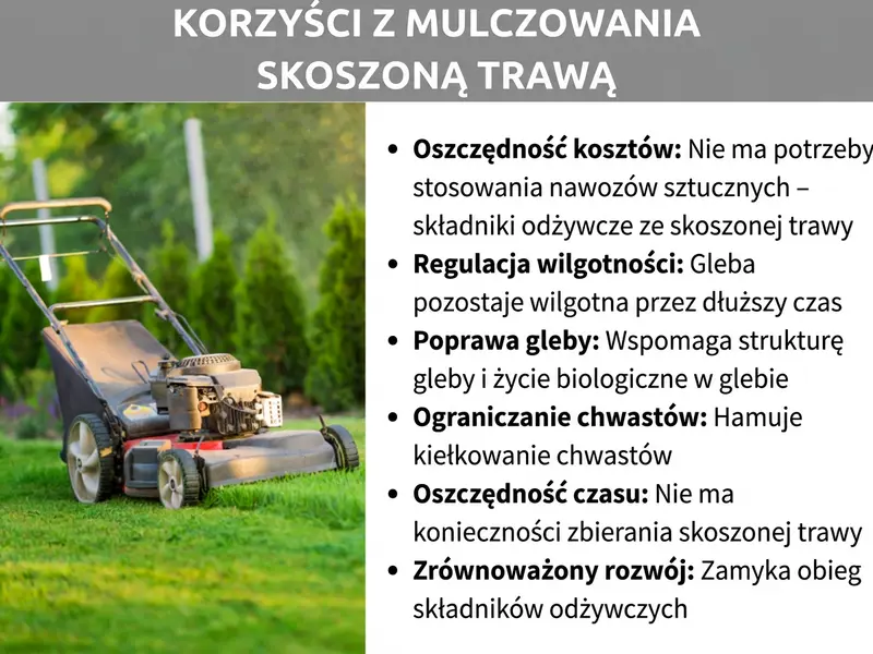Infografika: zalety ściółkowania trawą. Sześć korzyści: 1. Oszczędność – nie potrzebujesz sztucznego nawozu, składniki odżywcze pochodzą ze skoszonej trawy. 2. Regulacja wilgotności – gleba dłużej pozostaje wilgotna. 3. Poprawa gleby – wspiera strukturę gleby i życie biologiczne. 4. Ograniczenie chwastów – hamuje kiełkowanie chwastów. 5. Oszczędność czasu – nie musisz zbierać skoszonej trawy. 6. Ekologia – zamykasz naturalny obieg składników odżywczych.