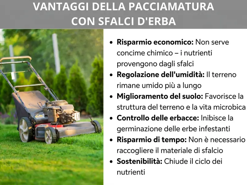 Infografica: vantaggi della pacciamatura con erba tagliata. Sei vantaggi: 1. Risparmio economico: niente concimi chimici – i nutrienti arrivano dall’erba tagliata. 2. Regolazione dell’umidità: il terreno resta umido più a lungo. 3. Miglioramento del suolo: favorisce la struttura e la vita biologica del terreno. 4. Contrasto alle erbacce: ostacola la germinazione delle infestanti. 5. Risparmio di tempo: non serve raccogliere l’erba tagliata. 6. Sostenibilità: chiude il ciclo naturale dei nutrienti.