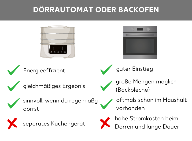 Infografik zu “Dörrautomat oder Backofen”. Links Dörrautomat: Energieeffizient, gleichmäßiges Dörr-Ergebnis, sinnvoll bei regelmäßigem Gebrauch; Nachteil: separates Gerät. Rechts Backofen: guter Einstieg, große Mengen möglich, meist vorhanden; Nachteile: hohe Stromkosten, lange Dauer.

