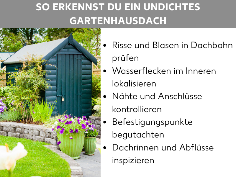Infografik: So erkennst du ein undichtes Gartenhausdach. Links ein Foto eines dunkelgrünen Holzgartenhauses mit Satteldach, umgeben von Blumen und Grünpflanzen. Rechts eine Aufzählung mit fünf Punkten: 1. Risse und Blasen in Dachbahn prüfen. 2. Wasserflecken im Inneren lokalisieren. 3. Nähte und Anschlüsse kontrollieren. 4. Befestigungspunkte begutachten. 5. Dachrinnen und Abflüsse inspizieren. Überschrift in weißer Schrift auf grauem Balken oben.