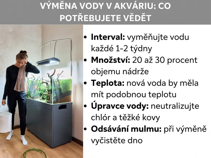 Infografika: Výměna vody v akváriu ve stručném přehledu. Grafika ukazuje pět bodů: 1. Interval: Vodu měňte každý jeden až dva týdny. 2. Množství: Vyměňte 20 až 30 procent objemu nádrže. 3. Teplota: Nová voda by měla mít podobnou teplotu jako voda v akváriu. 4. Úpravce vody: Před dolitím neutralizujte chlor a těžké kovy. 5. Odsávání kalu: Při výměně vody vyčistěte i dno.