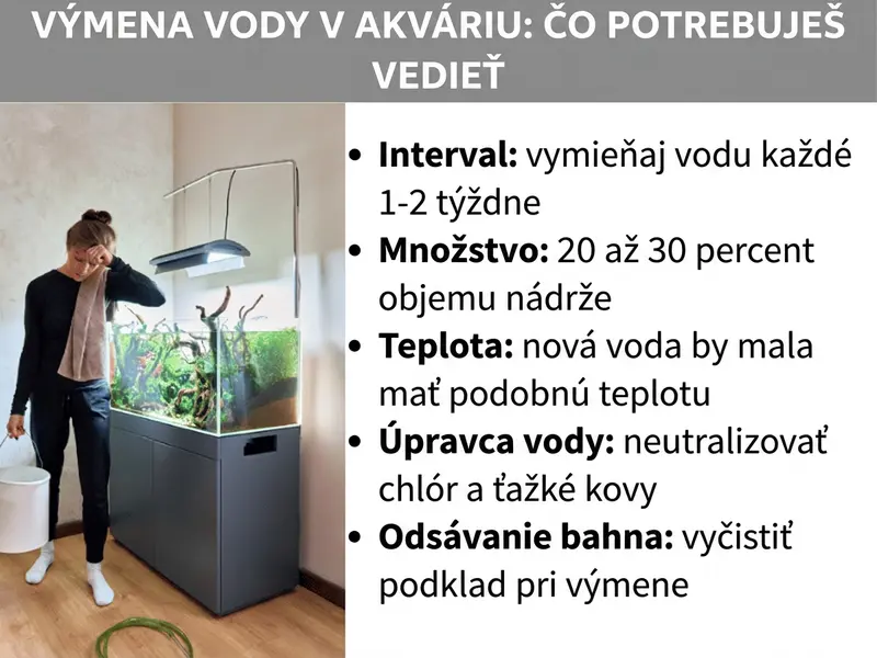 Infografika: Výmena vody v akváriu v kocke. Grafika zobrazuje päť bodov: 1. Interval: vodu vymieňajte každý jeden až dva týždne. 2. Množstvo: vymeňte 20 až 30 percent objemu nádrže. 3. Teplota: nová voda by mala mať podobnú teplotu ako voda v akváriu. 4. Úprava vody: pred napustením neutralizujte chlór a ťažké kovy. 5. Odsávanie kalu: pri výmene vody vyčistite aj substrát na dne.