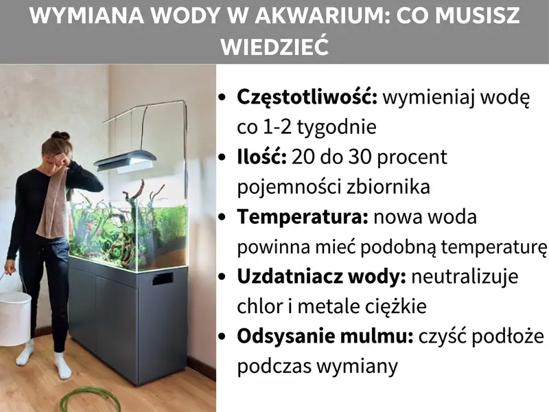 Infografika przedstawiająca najważniejsze zasady wymiany wody w akwarium: 1. Częstotliwość: co 1-2 tygodnie. 2. Ilość: 20–30% objętości. 3. Temperatura: nowa woda musi mieć temperaturę zbliżoną do wody w akwarium. 4. Uzdatnianie: zneutralizuj chlor i metale ciężkie. 5. Odmulanie: jednocześnie oczyść podłoże.