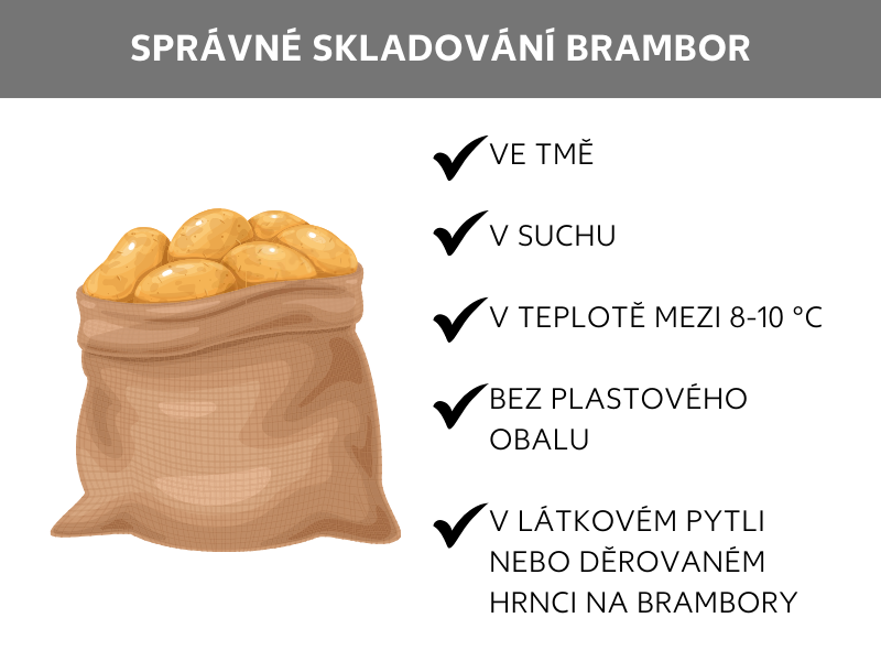 Jak správně skladovat brambory