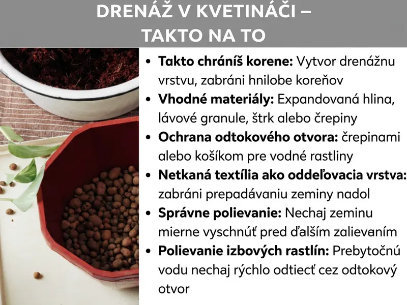 Infografika: Grafika s názvom „Drenáž do kvetináča – Ako na to“. Vľavo je fotografia dvoch kvetináčov: hore biely kvetináč so zeminou, dole červený kvetináč naplnený keramzitovými guľôčkami. Vedľa sú zelené listy a jednotlivé zrnká. Vpravo je šesť tipov: „Ochrana koreňov: drenážna vrstva zabraňuje hnitiu koreňov“; „Vhodné materiály: keramzit, lávový granulát, štrk alebo črepiny“; „Ochrana odtokového otvoru: črepinami alebo košíkom na vodné rastliny“; „Netkaná textília ako oddeľovacia vrstva: zabraňuje prepadávaniu zeminy nadol“; „Správne zalievanie: nechajte zeminu mierne preschnúť, než budete znova zalievať“; „Zalievanie hrnkových rastlín: prebytočná voda musí rýchlo odtiecť odtokovým otvorom“.