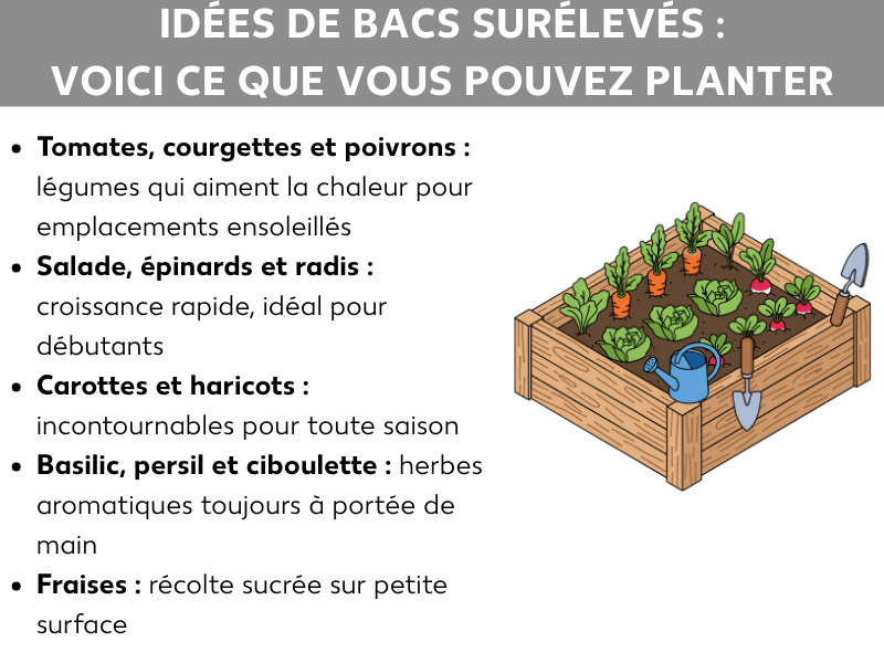 Infographie : idées pour votre carré potager et ce que vous pouvez y planter. La liste comprend cinq points : 1. Tomates, courgettes et poivrons : des légumes qui aiment la chaleur, parfaits en plein soleil. 2. Salade, épinards et radis : une pousse rapide, idéale pour débuter. 3. Carottes et haricots : des classiques pour chaque saison. 4. Basilic, persil et ciboulette : des aromates toujours à portée de main. 5. Fraises : une récolte sucrée sur une petite surface. À droite, illustration d'un bac potager en bois garni de différents légumes, avec un arrosoir et une bêche.