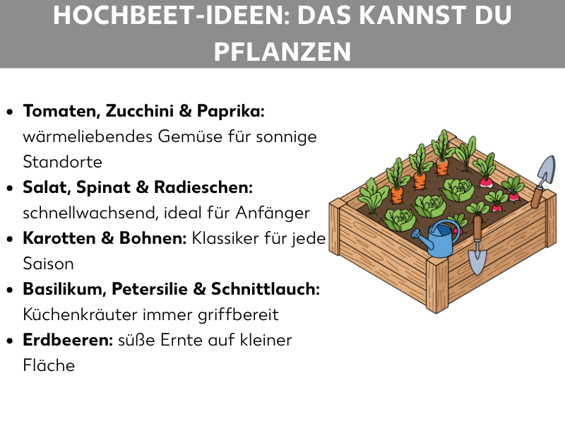 Infografik: Hochbeet-Ideen: Das kannst du pflanzen. Die Liste umfasst fünf Punkte: 1. Tomaten, Zucchini & Paprika: wärmeliebendes Gemüse für sonnige Standorte. 2. Salat, Spinat & Radieschen: schnellwachsend, ideal für Anfänger. 3. Karotten & Bohnen: Klassiker für jede Saison. 4. Basilikum, Petersilie & Schnittlauch: Küchenkräuter immer griffbereit. 5. Erdbeeren: süße Ernte auf kleiner Fläche. Rechts daneben ist eine Illustration eines befüllten Holzhochbeets mit verschiedenen Gemüsepflanzen, einer Gießkanne und einem Spaten zu sehen.