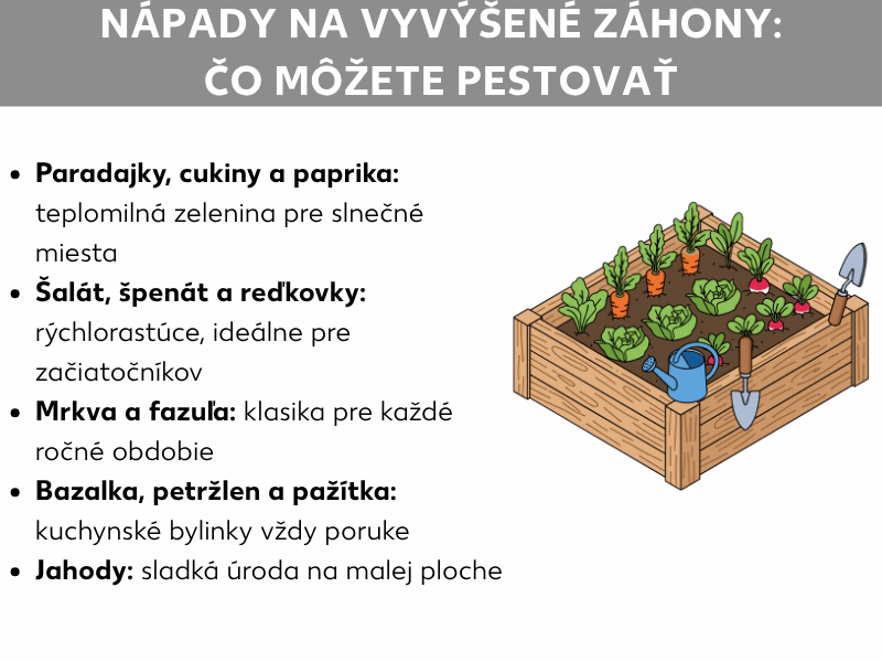 Infografika: Nápady pre vyvýšený záhon – čo všetko môžete pestovať. Zoznam obsahuje päť bodov: 1. Paradajky, cukety a papriky: teplomilná zelenina na slnečné miesta. 2. Šalát, špenát a reďkovky: rýchlorastúce, ideálne pre začiatočníkov. 3. Mrkva a fazuľa: klasika na každú sezónu. 4. Bazalka, petržlen a pažítka: kuchynské bylinky vždy po ruke. 5. Jahody: sladká úroda na malom priestore. Vpravo je ilustrácia naplneného dreveného vyvýšeného záhona s rôznymi druhmi zeleniny, kanvou na polievanie a rýľom.