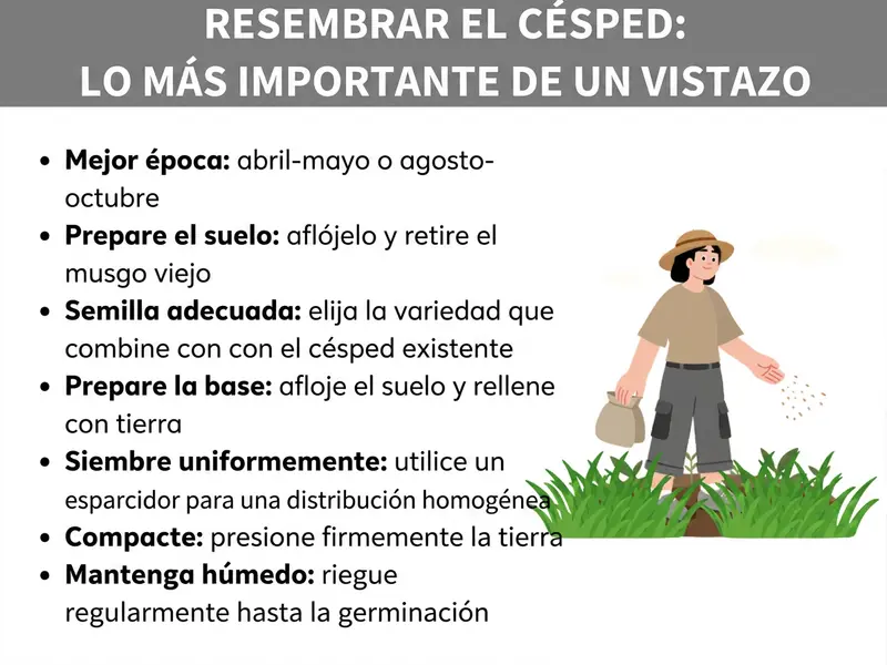 Infografía «Resiembra de césped: lo más importante de un vistazo» con siete puntos clave: mejor momento (abril-mayo o agosto-octubre), preparar el terreno (airear y retirar el musgo), elegir las semillas adecuadas, preparar la base (soltar la tierra y rellenar con sustrato), sembrar de manera uniforme con un esparcidor, compactar la tierra y mantener la humedad hasta la germinación. A la derecha, una ilustración de una persona con sombrero esparciendo semillas sobre una superficie de césped.
