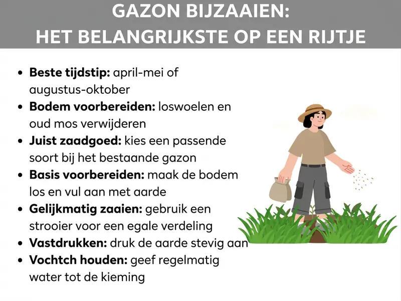 Infographic "Gazon bijzaaien: het belangrijkste op een rij" met zeven aandachtspunten: beste moment (april-mei of augustus-oktober), bodem voorbereiden (losmaken en mos verwijderen), het juiste graszaad kiezen, ondergrond voorbereiden (bodem losmaken en aanvullen met aarde), gelijkmatig zaaien met een strooier, aarde aandrukken en vochtig houden tot de kieming. Rechts ernaast een illustratie van een persoon met hoed die zaad over een gazon strooit.
