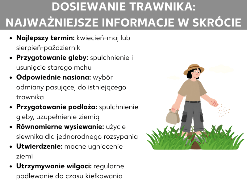 Infografika „Dosiewka trawy: najważniejsze informacje w skrócie" z siedmioma punktami: najlepszy termin (kwiecień–maj lub sierpień–październik), przygotowanie gleby (spulchnienie i usunięcie mchu), wybór odpowiednich nasion, przygotowanie podłoża (spulchnienie gleby i uzupełnienie ziemią), równomierne sianie siewnikiem, dociśnięcie ziemi oraz utrzymywanie wilgoci do momentu kiełkowania. Po prawej stronie ilustracja osoby w kapeluszu rozsiewającej nasiona na trawniku.