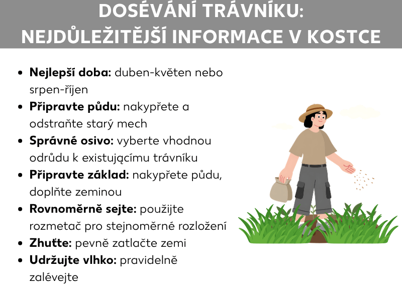 Infografika „Dosévání trávníku: Vše důležité na jednom místě“ se sedmi body: nejlepší čas (duben–květen nebo srpen–říjen), příprava půdy (nakypření a odstranění mechu), volba správného osiva, příprava podkladu (nakypření půdy a dosypání zeminy), rovnoměrný výsev rozmetadlem, přitlačení zeminy a udržování vlhkosti do vyklíčení. Vpravo ilustrace osoby s kloboukem, která rozsévá semena na trávník.