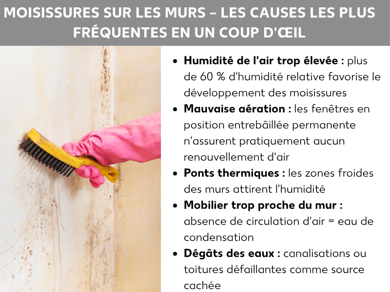 Infographie : moisissure sur les murs – les causes les plus fréquentes en un coup d'œil. La liste comprend cinq points : 1. Humidité trop élevée : un taux supérieur à 60 % favorise le développement des moisissures. 2. Mauvaise aération : une fenêtre en oscillo-battant n'assure presque aucun renouvellement de l'air. 3. Ponts thermiques : les zones froides du mur attirent l'humidité. 4. Meubles trop proches du mur : absence de circulation d'air et formation de condensation. 5. Dégâts des eaux : canalisations ou toitures défectueuses, source cachée d'humidité.