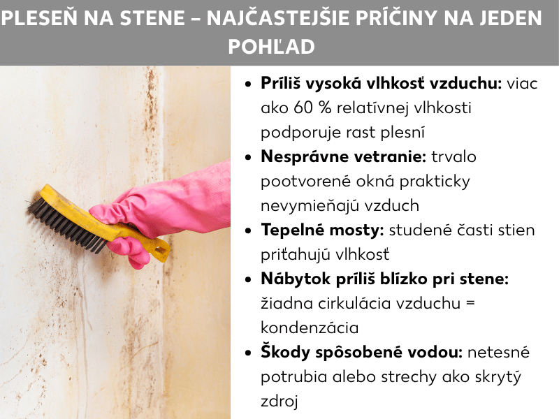 Infografika: Pleseň na stene – najčastejšie príčiny v prehľade. Zoznam obsahuje päť bodov: 1. Príliš vysoká vlhkosť vzduchu: Relatívna vlhkosť nad 60 % podporuje rast plesne. 2. Nesprávne vetranie: Trvalo vyklopené okno takmer nevymení vzduch. 3. Tepelné mosty: Studené časti stien priťahujú vlhkosť. 4. Nábytok príliš blízko steny: Žiadna cirkulácia vzduchu znamená kondenzáciu. 5. Poškodenie vodou: Netesné potrubia alebo strechy ako skrytý zdroj vlhkosti.