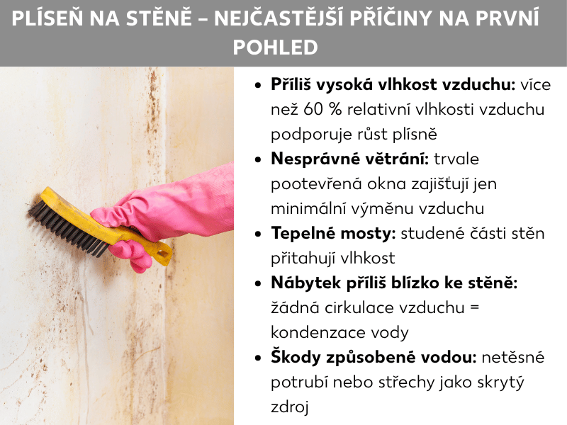 Infografika: Plíseň na zdi – nejčastější příčiny na první pohled. Seznam obsahuje pět bodů: 1. Příliš vysoká vlhkost vzduchu: Relativní vlhkost nad 60 % podporuje růst plísní. 2. Nesprávné větrání: Trvale vyklopené okno téměř nevymění vzduch. 3. Tepelné mosty: Studená místa na stěně přitahují vlhkost. 4. Nábytek příliš blízko zdi: Bez cirkulace vzduchu vzniká kondenzace. 5. Zatečení vody: Netěsné rozvody nebo střechy jako skrytý zdroj vlhkosti.