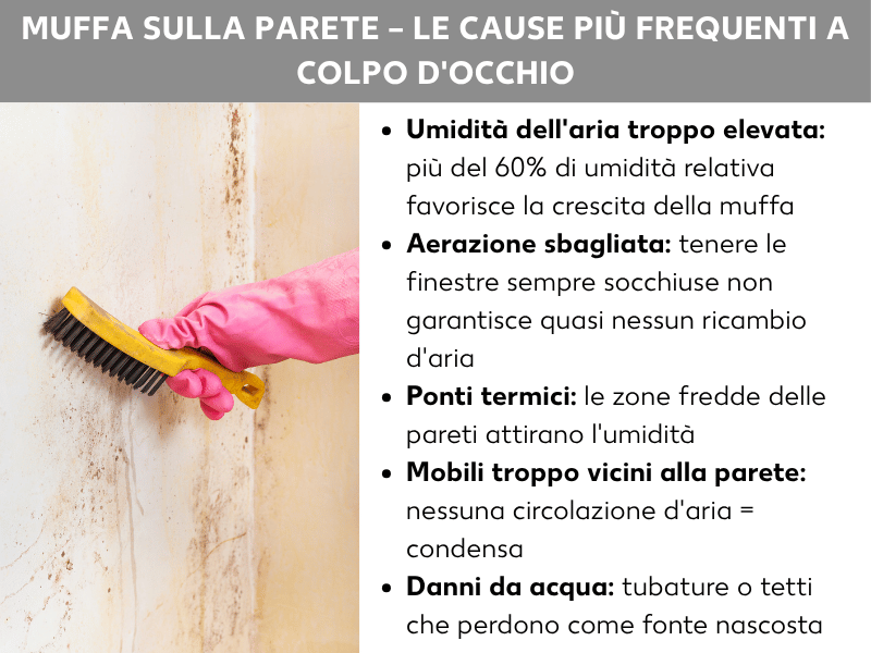 Infografica: muffa sul muro – le cause più comuni a colpo d'occhio. La lista comprende cinque punti: 1. Umidità troppo elevata: oltre il 60% di umidità relativa favorisce la crescita della muffa. 2. Aerazione scorretta: la finestra a ribalta non garantisce un ricambio d'aria sufficiente. 3. Ponti termici: le zone fredde della parete attirano l'umidità. 4. Mobili troppo vicini alla parete: nessuna circolazione d'aria significa condensa. 5. Danni causati dall'acqua: tubature o tetti che perdono come fonte nascosta.