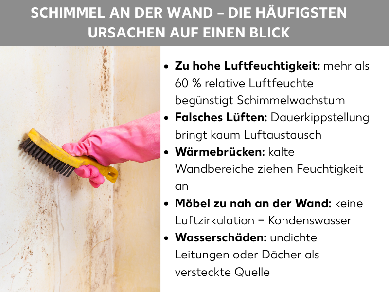 Infografik: Schimmel an der Wand – die häufigsten Ursachen auf einen Blick. Die Liste umfasst fünf Punkte: 1. Zu hohe Luftfeuchtigkeit: Mehr als 60 % relative Luftfeuchte begünstigt Schimmelwachstum. 2. Falsches Lüften: Dauerkippstellung bringt kaum Luftaustausch. 3. Wärmebrücken: Kalte Wandbereiche ziehen Feuchtigkeit an. 4. Möbel zu nah an der Wand: Keine Luftzirkulation gleich Kondenswasser. 5. Wasserschäden: Undichte Leitungen oder Dächer als versteckte Quelle.
