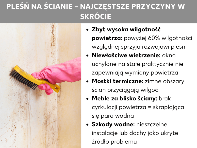 Infografika: Pleśń na ścianie – najczęstsze przyczyny w skrócie. Lista obejmuje pięć punktów: 1. Zbyt wysoka wilgotność powietrza: ponad 60% wilgotności względnej sprzyja rozwojowi pleśni. 2. Nieprawidłowe wietrzenie: stałe uchylenie okna prawie nie wymienia powietrza. 3. Mostki termiczne: zimne fragmenty ścian przyciągają wilgoć. 4. Meble zbyt blisko ściany: brak cyrkulacji powietrza to skropliny. 5. Zalania: nieszczelne rury lub dachy jako ukryte źródło problemu.
