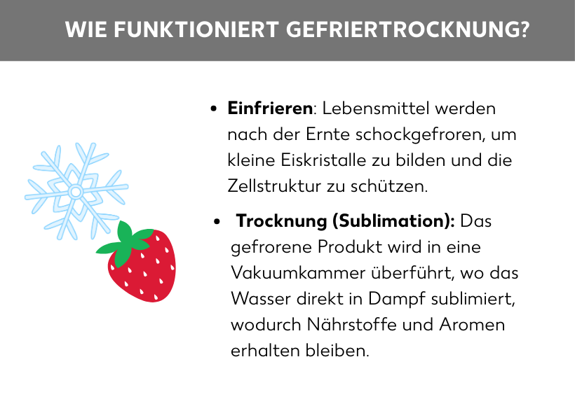 Schaubild: Schaubild zur Frage Wie funktioniert Gefriertrocknung, Einfrieren: Lebensmittel werden nach der Ernte schockgefroren, um kleine Eiskristalle zu bilden und die SZellstruktur zu schützen, danach Trocknung, auch Sublimation genannt, das gefrorene Produkt wird in eine Vakuumkammer überführt, wo das Wasser in Dampf sublimiert, wodurch Nährstoffe und Aromen erhalten bleiben. Neben den Listenpunkten sind eine Erdbeere und eine Schneeflocke zu sehen.