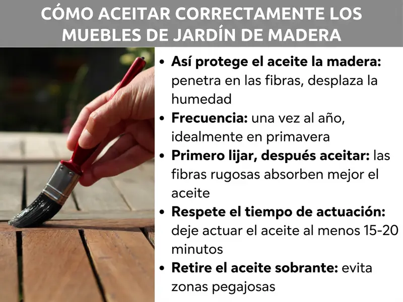 Infografía: Aceitar muebles de jardín de madera – 5 consejos importantes: 1. Así protege el aceite la madera: penetra en las fibras y desplaza la humedad. 2. Frecuencia: una vez al año, preferiblemente en primavera. 3. Primero lijar, después aceitar: las fibras abiertas absorben mejor el aceite. 4. Respetar el tiempo de absorción: dejar actuar el aceite al menos 15-20 minutos. 5. Retirar el aceite sobrante: evita zonas pegajosas.