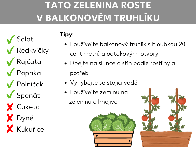 Infografika ukazuje vhodnou a nevhodnou zeleninu do truhlíku a shrnuje tipy pro pěstování.