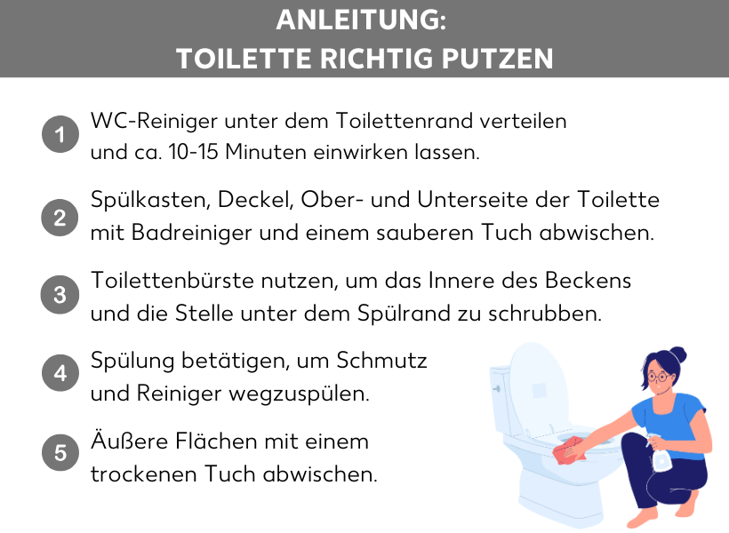 Infografik: Anleitung: Toilette richtig putzen. Eine Frau, die eine Toilette putzt, daneben folgende Schritte: 1. WC-Reiniger unter dem Toilettenrand verteilen und ca. 10 bis 15 Minuten einwirken lassen. 2. Spülkasten, Deckel, Ober- und Unterseite der Toilette mit Badreiniger und einem sauberen Tuch abwischen. 3. Toilettenbürste nutzen, um das Innere des Beckens und die Stelle unter dem Spülrand zu schrubben. 4. Spülung betätigen, um Schmutz und Reiniger wegzuspülen. 5. Äußere Flächen mit einem trockenen Tuch abwischen.