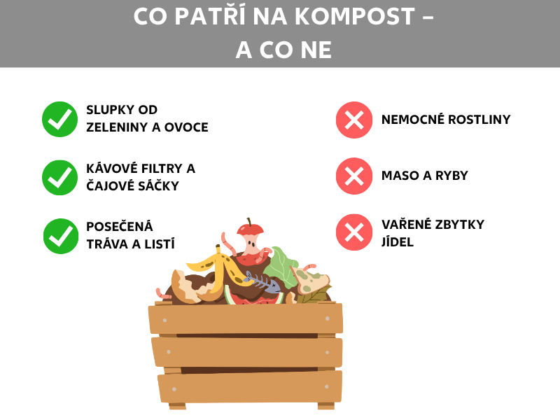 Infografika: Co patří na kompost – a co ne. Vlevo tři zelené fajfky s popisky: Slupky od ovoce a zeleniny, Kávové filtry a čajové sáčky, Posekaná tráva a listí. Vpravo tři červené křížky s popisky: Nemocné rostliny, Maso a ryby, Vařené zbytky jídel. Uprostřed ilustrace dřevěného kompostéru s různými kuchyňskými zbytky, jako jsou slupky od banánů, ohryzky a zelenina.