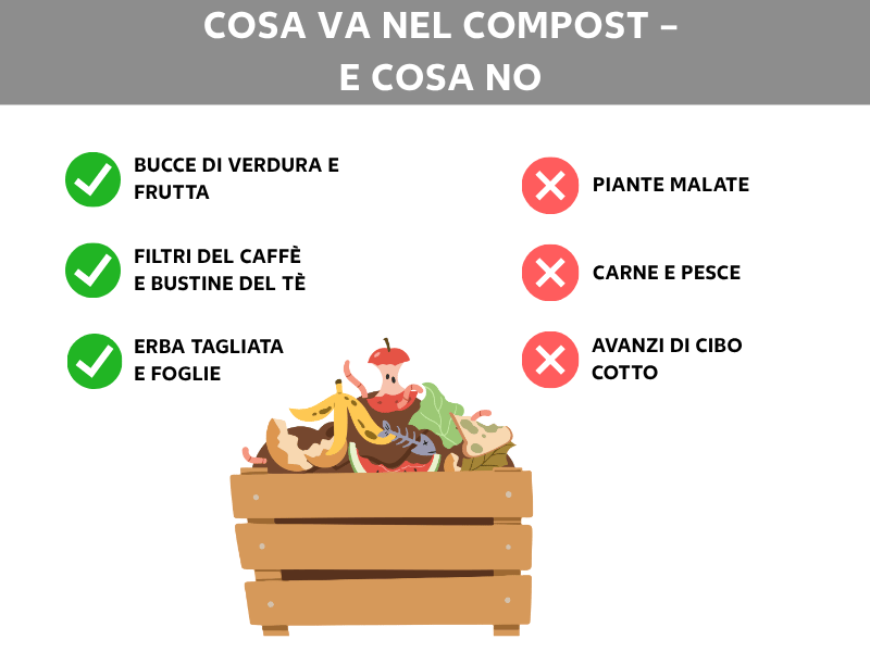 Infografica: cosa mettere nella compostiera e cosa no. A sinistra tre segni di spunta verdi con le voci: bucce di frutta e verdura, filtri del caffè e bustine di tè, erba tagliata e foglie secche. A destra tre croci rosse con le voci: piante malate, carne e pesce, avanzi di cibo cotto. Al centro l'illustrazione di una cassetta di legno con vari scarti di cucina come bucce di banana, torsoli di mela e verdure.