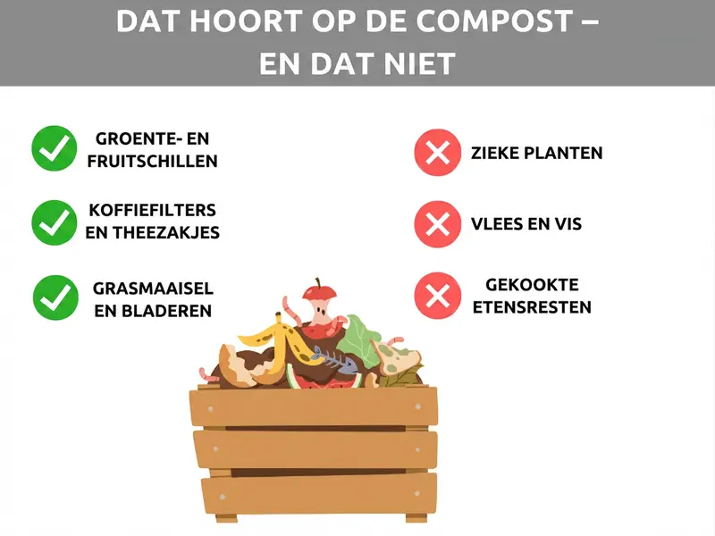 Infographic: Dit mag wel en niet op de compost. Links drie groene vinkjes met de termen: groente- en fruitschillen, koffiefilters en theezakjes, grasmaaisel en bladeren. Rechts drie rode kruisjes met de termen: zieke planten, vlees en vis, gekookte etensresten. In het midden een illustratie van een houten bak met verschillende keukenresten zoals bananenschillen, appelklokhuis en groenten.