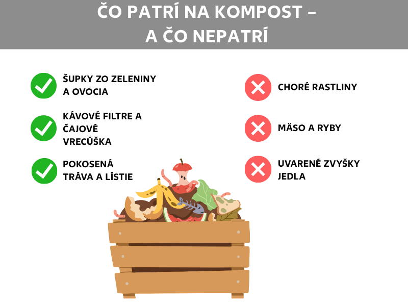 Infografika: Čo patrí na kompost a čo nie. Vľavo tri zelené fajky s pojmami: šupky zo zeleniny a ovocia, kávové filtre a čajové vrecúška, pokosená tráva a lístie. Vpravo tri červené krížiky s pojmami: choré rastliny, mäso a ryby, varené zvyšky jedál. V strede ilustrácia drevenej debny s rôznym kuchynským odpadom, ako sú banánové šupky, zvyšky jabĺk a zelenina.