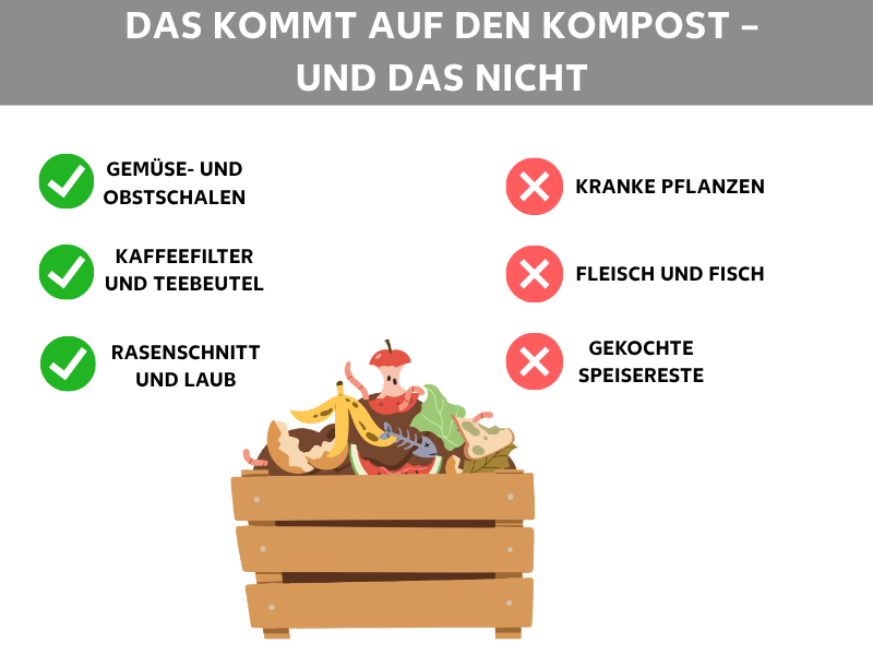 Infografik: Das kommt auf den Kompost – und das nicht. Links drei grüne Häkchen mit den Begriffen: Gemüse- und Obstschalen, Kaffeefilter und Teebeutel, Rasenschnitt und Laub. Rechts drei rote Kreuze mit den Begriffen: Kranke Pflanzen, Fleisch und Fisch, Gekochte Speisereste. In der Mitte eine Illustration einer Holzkiste mit verschiedenen Küchenabfällen wie Bananenschalen, Apfelresten und Gemüse.